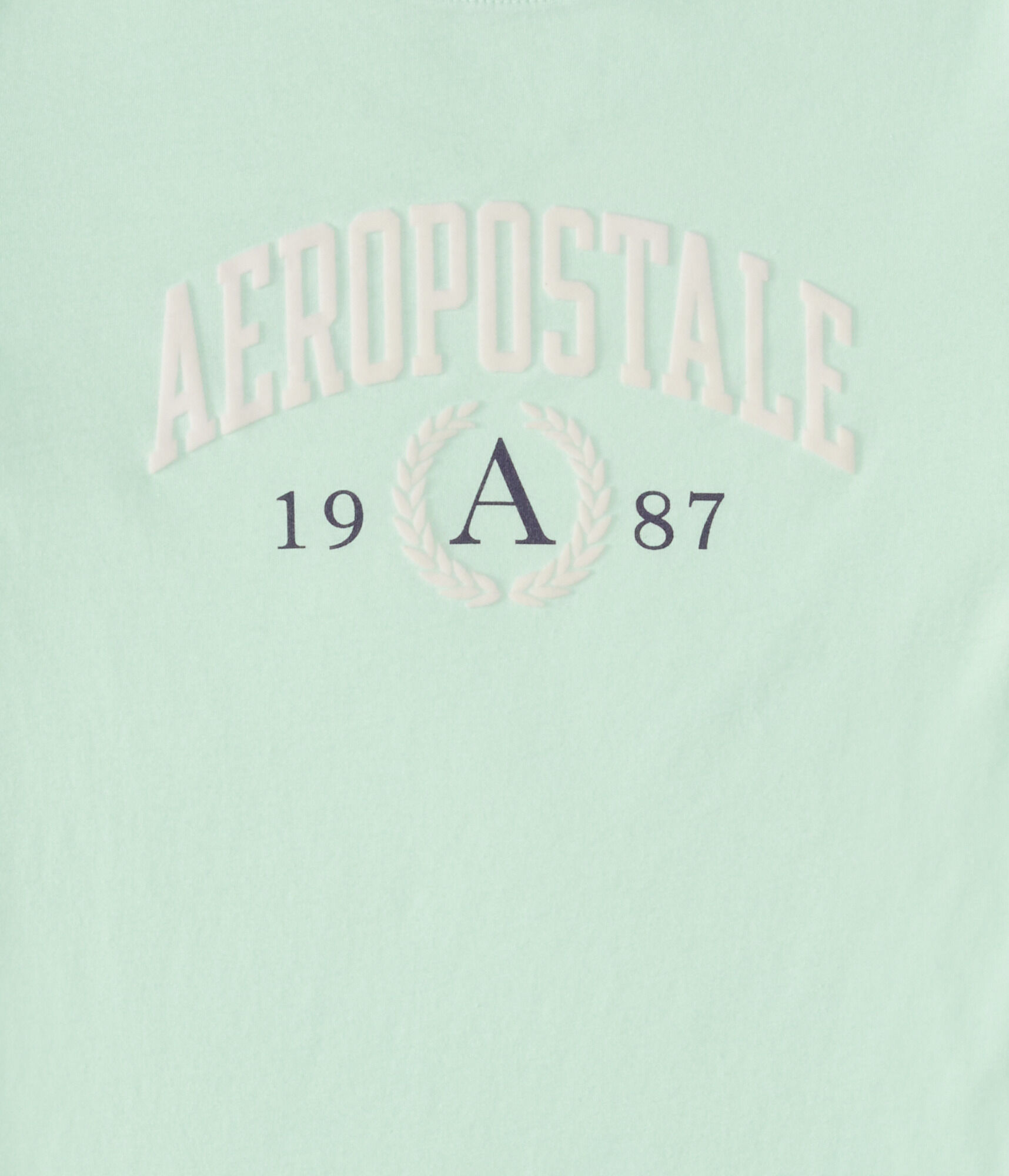 Aeropostale Crest Flocked Graphic Tee