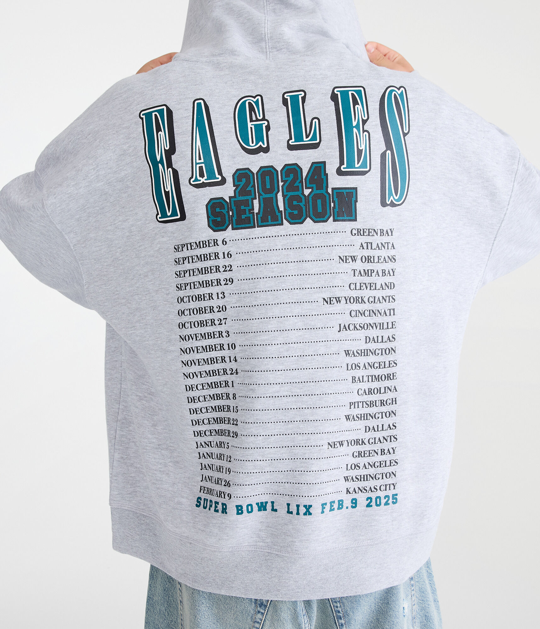Philadelphia Eagles 2024 Season Pullover Hoodie