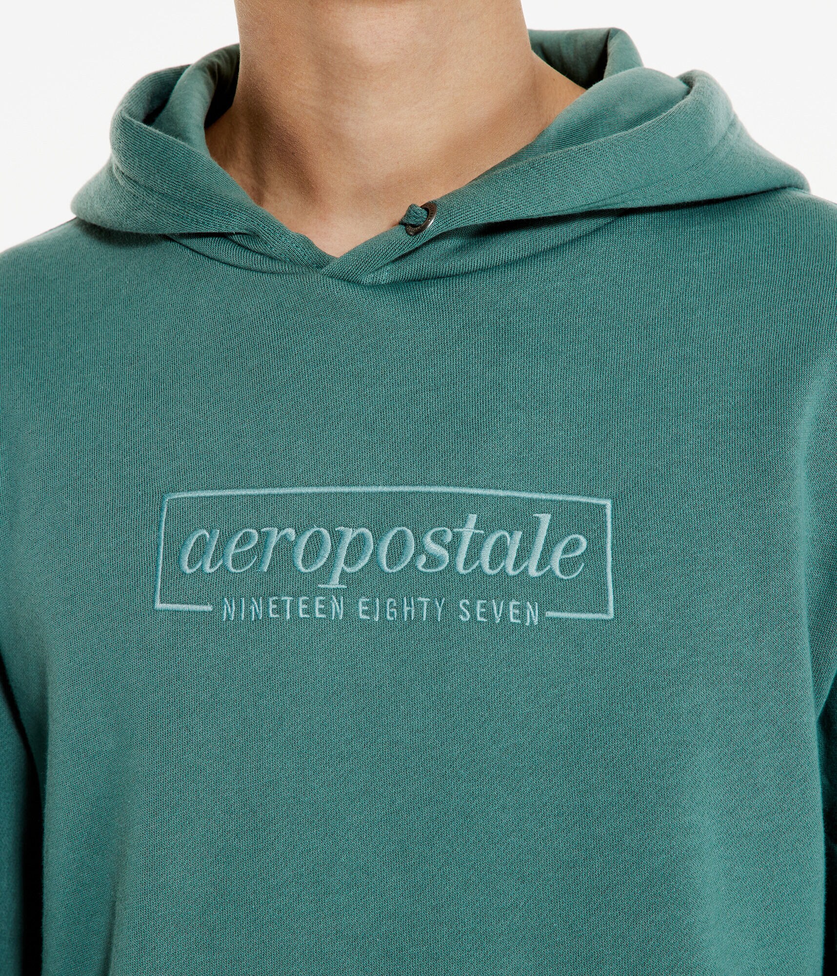 Aeropostale Script Logo Pullover Hoodie