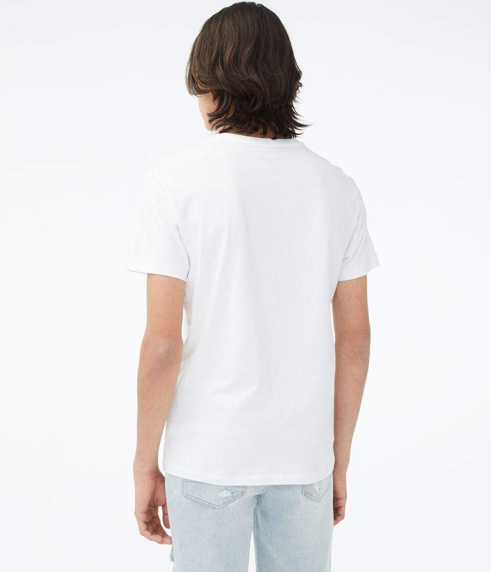 Los Angeles Palms Graphic Tee