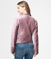 Velvet Moto Jacket