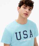 Aeropostale USA Appliqué Graphic Tee