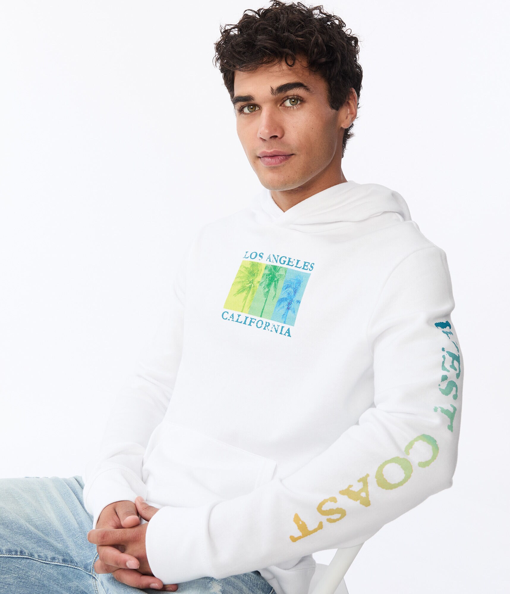 California Palm Trees Pullover Hoodie***