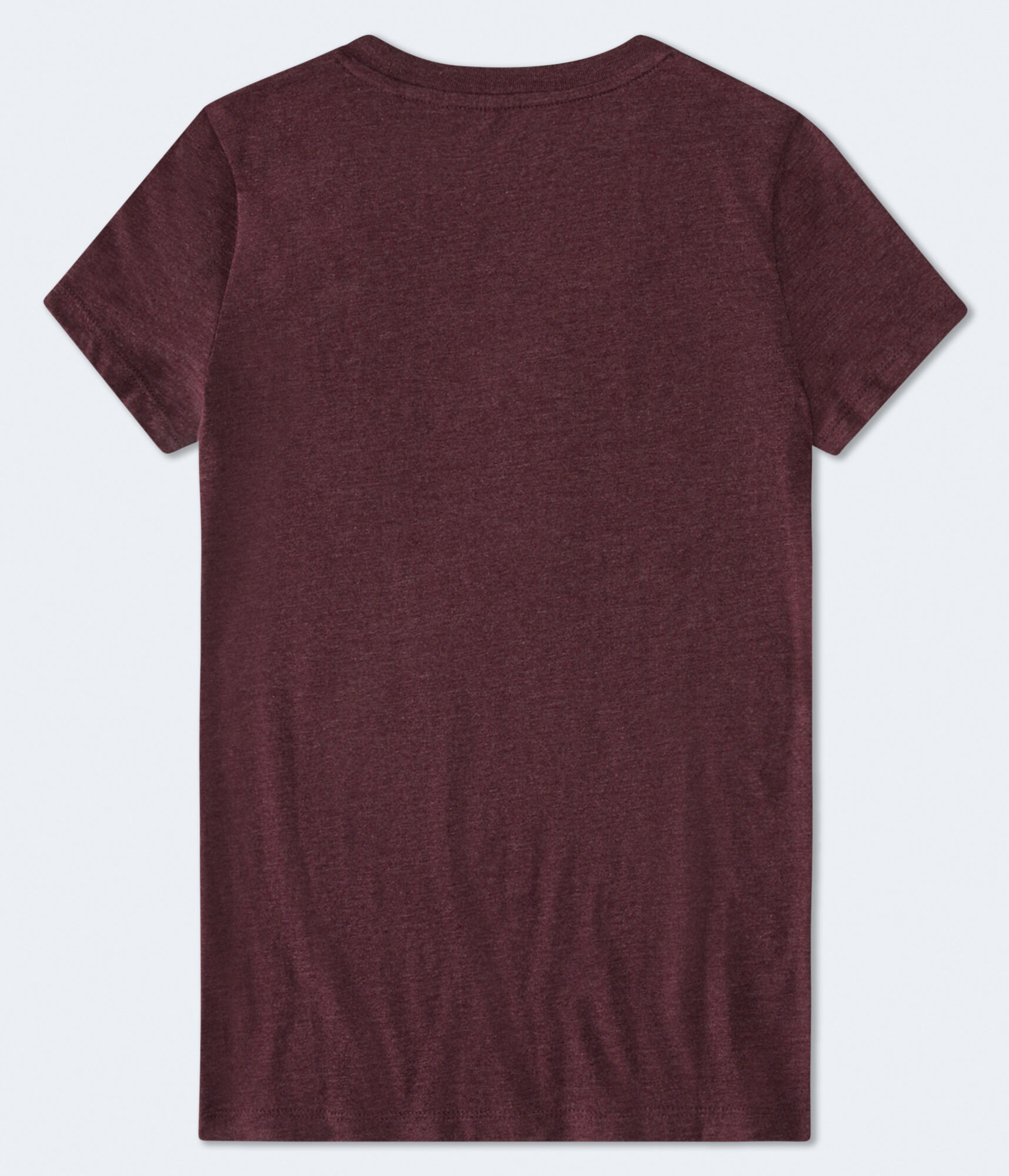 Aeropostale 87 Crest Flocked Graphic Tee