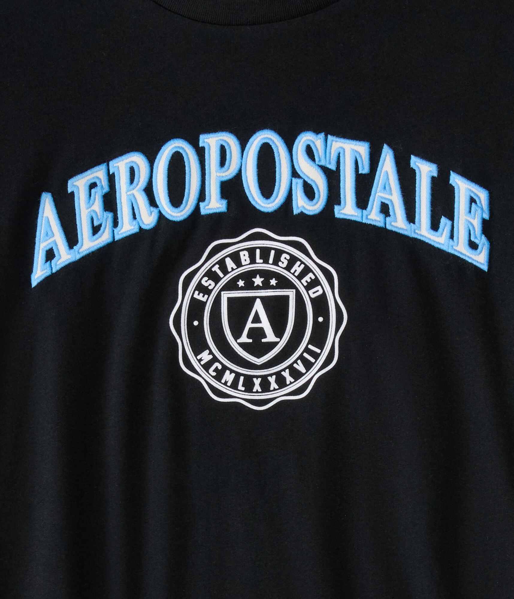 Aeropostale Shield Crest Graphic Tee