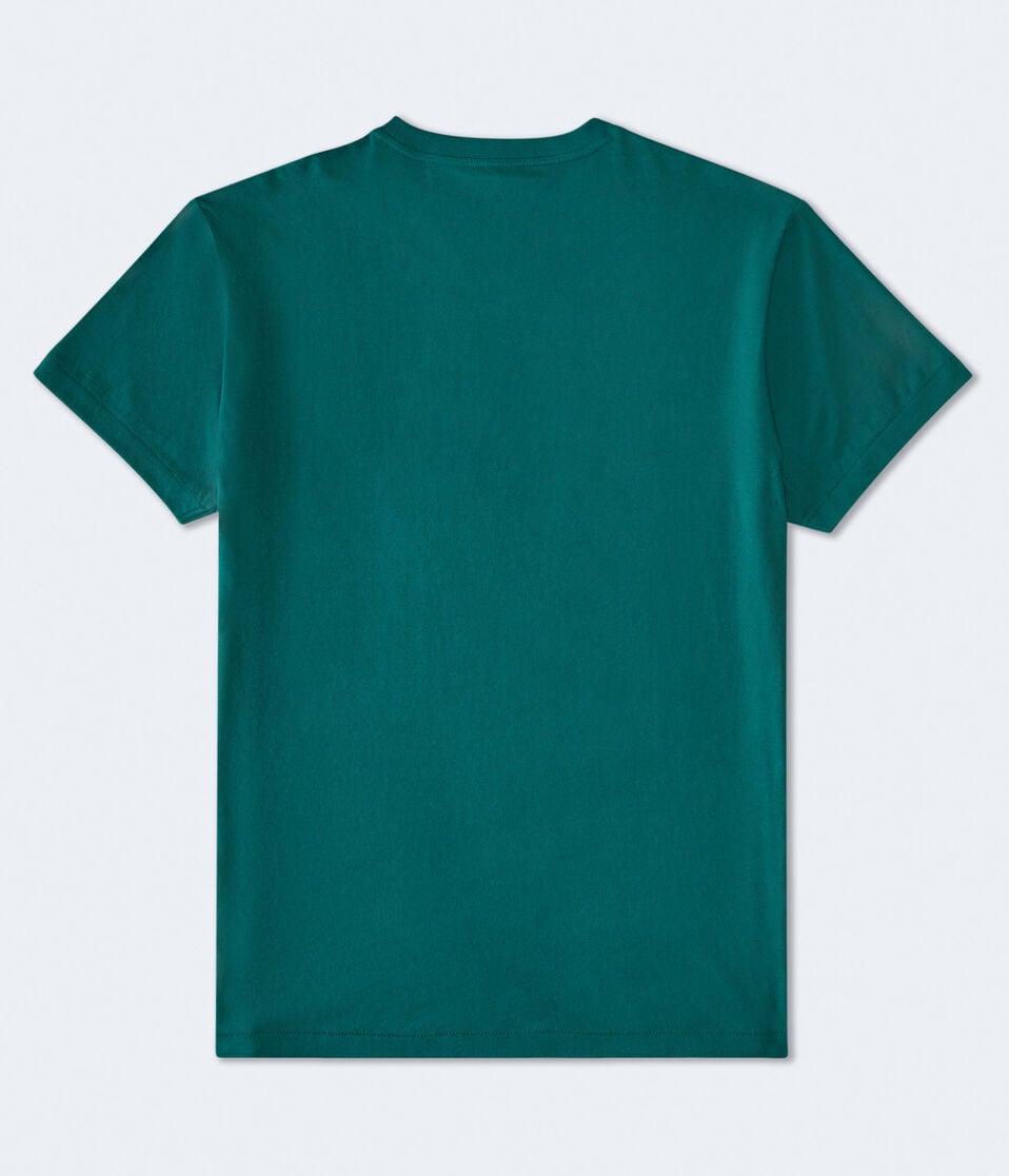 Aeropostale Diamond Logo Graphic Tee