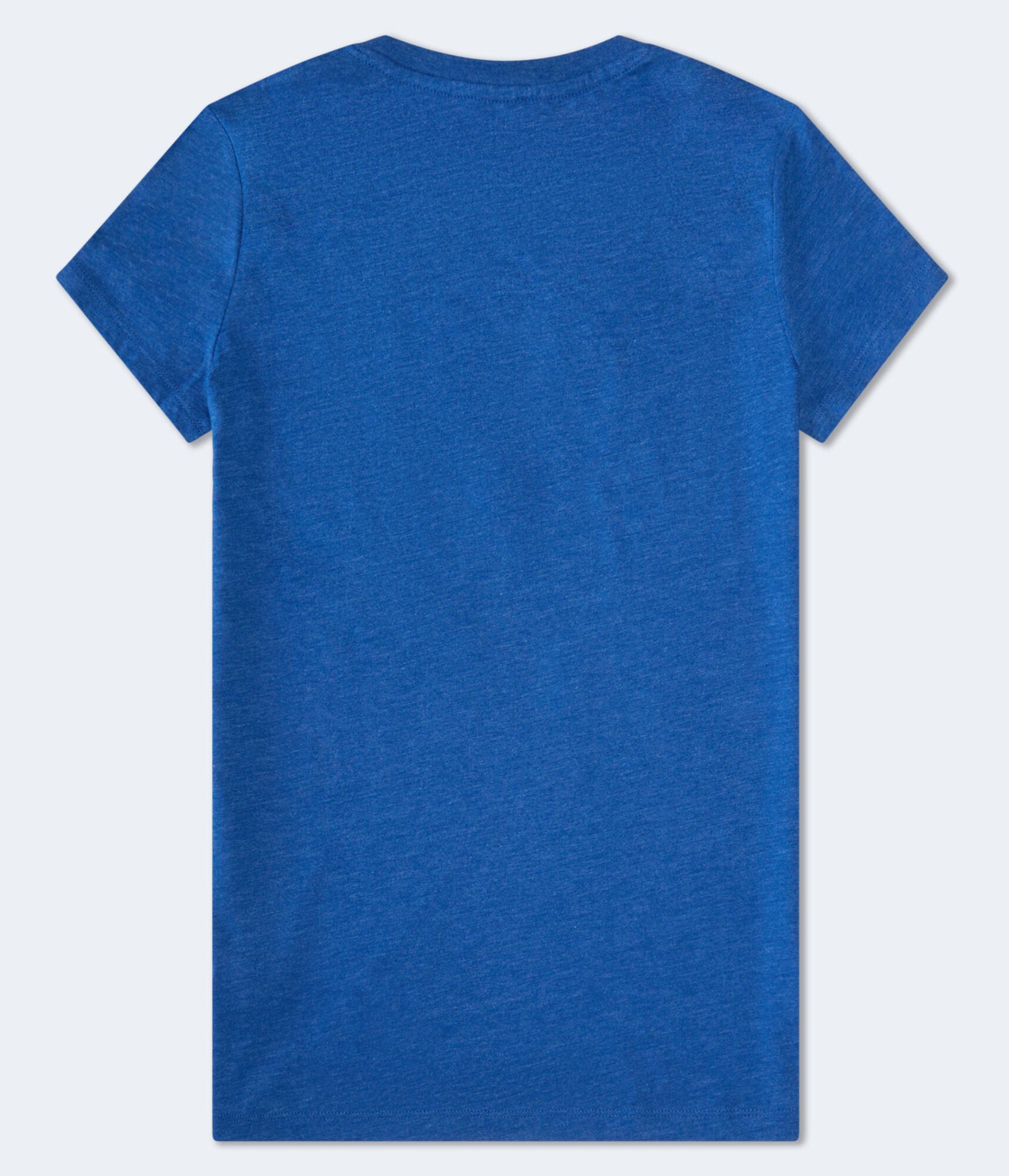 Aeropostale Torch Crest Graphic Tee