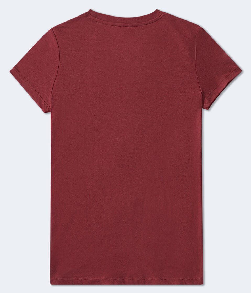 Aeropostale Butterfly Appliqué Graphic Tee