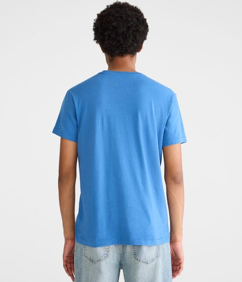 Aeropostale Bear Crest Appliqué Graphic Tee Aeropostale Bear Crest Appliqué Graphic Tee