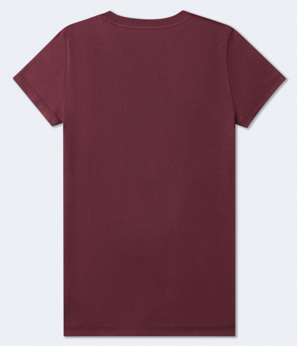 Aero Arch Butterfly Foil Graphic Tee