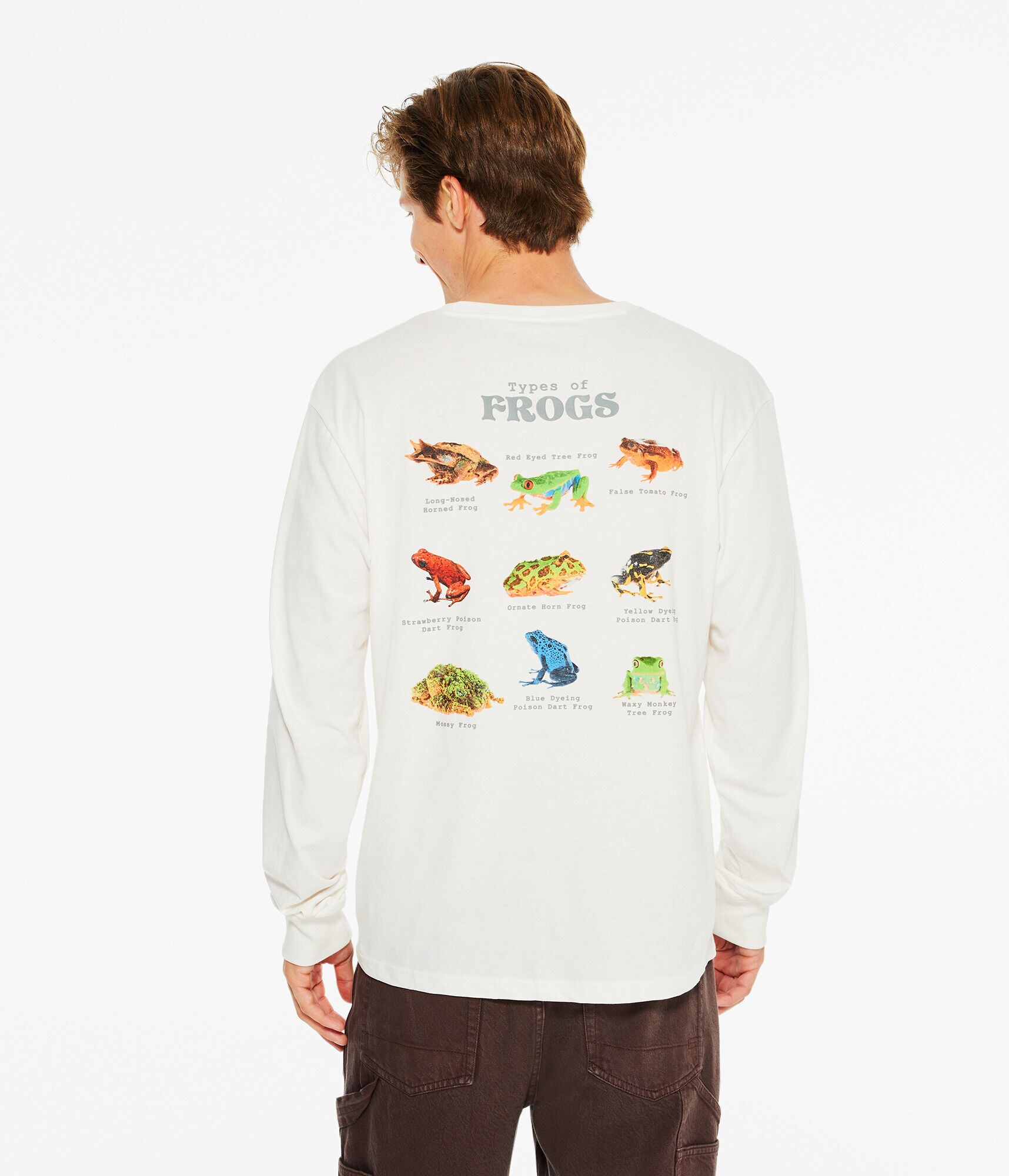 Long Sleeve Frog Types Graphic Tee