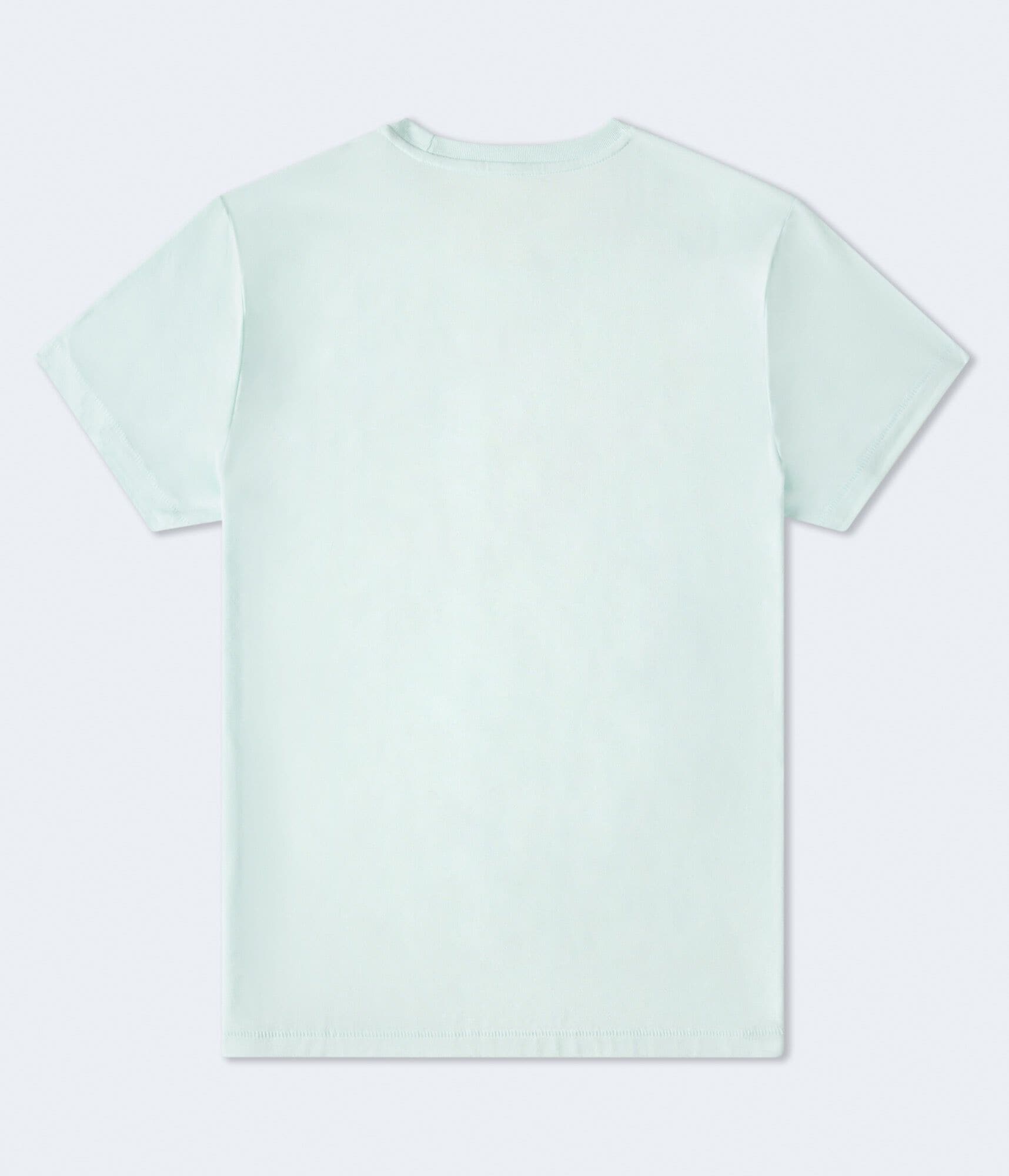 Aeropostale Liberty Flocked Graphic Tee