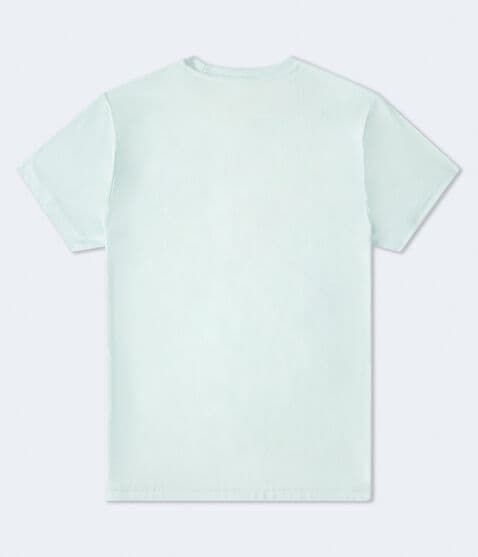 Aeropostale Liberty Flocked Graphic Tee Aeropostale Liberty Flocked Graphic Tee