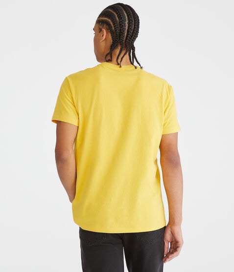 Aeropostale Script Appliqué Graphic Tee