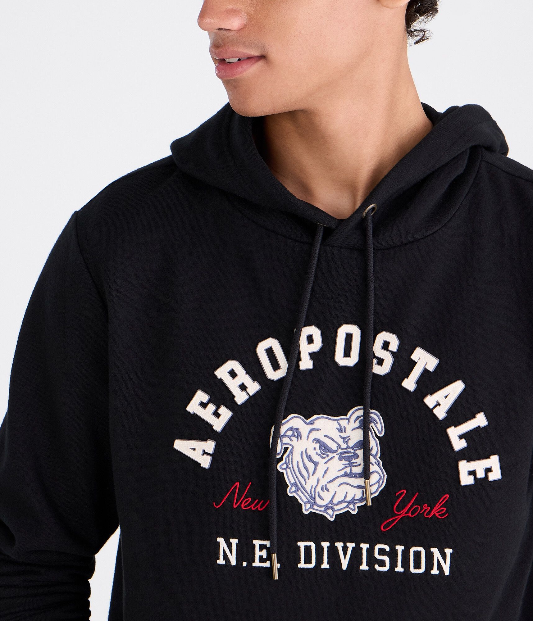 Aeropostale Bulldog Heritage Pullover Hoodie
