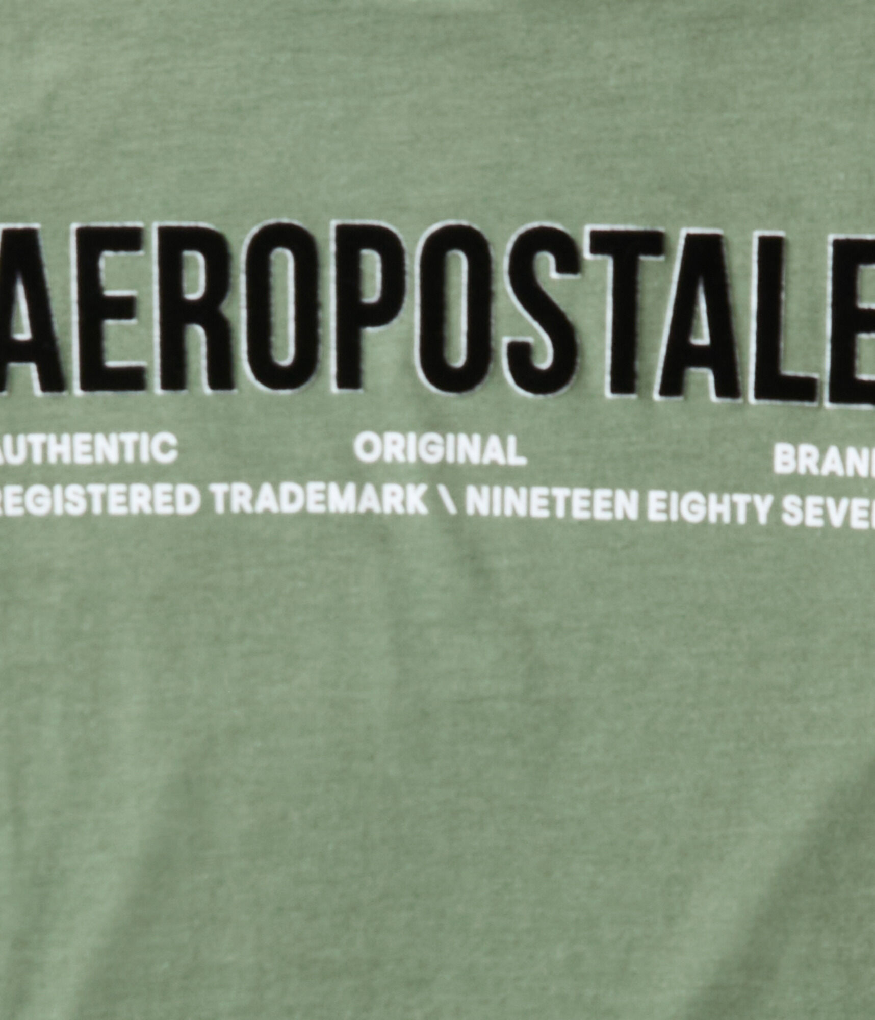 Aeropostale Authentic Logo Flocked Graphic Tee