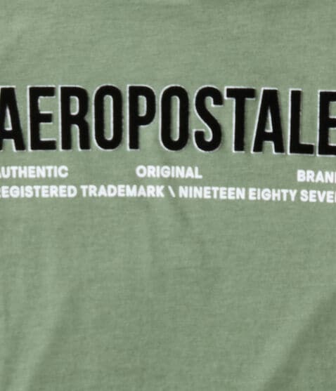 Aeropostale Authentic Logo Flocked Graphic Tee Aeropostale Authentic Logo Flocked Graphic Tee