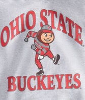 Ohio State Buckeyes Pullover Hoodie