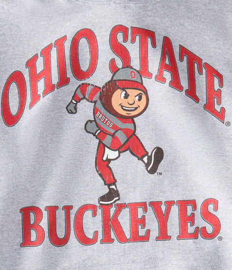 Ohio State Buckeyes Pullover Hoodie