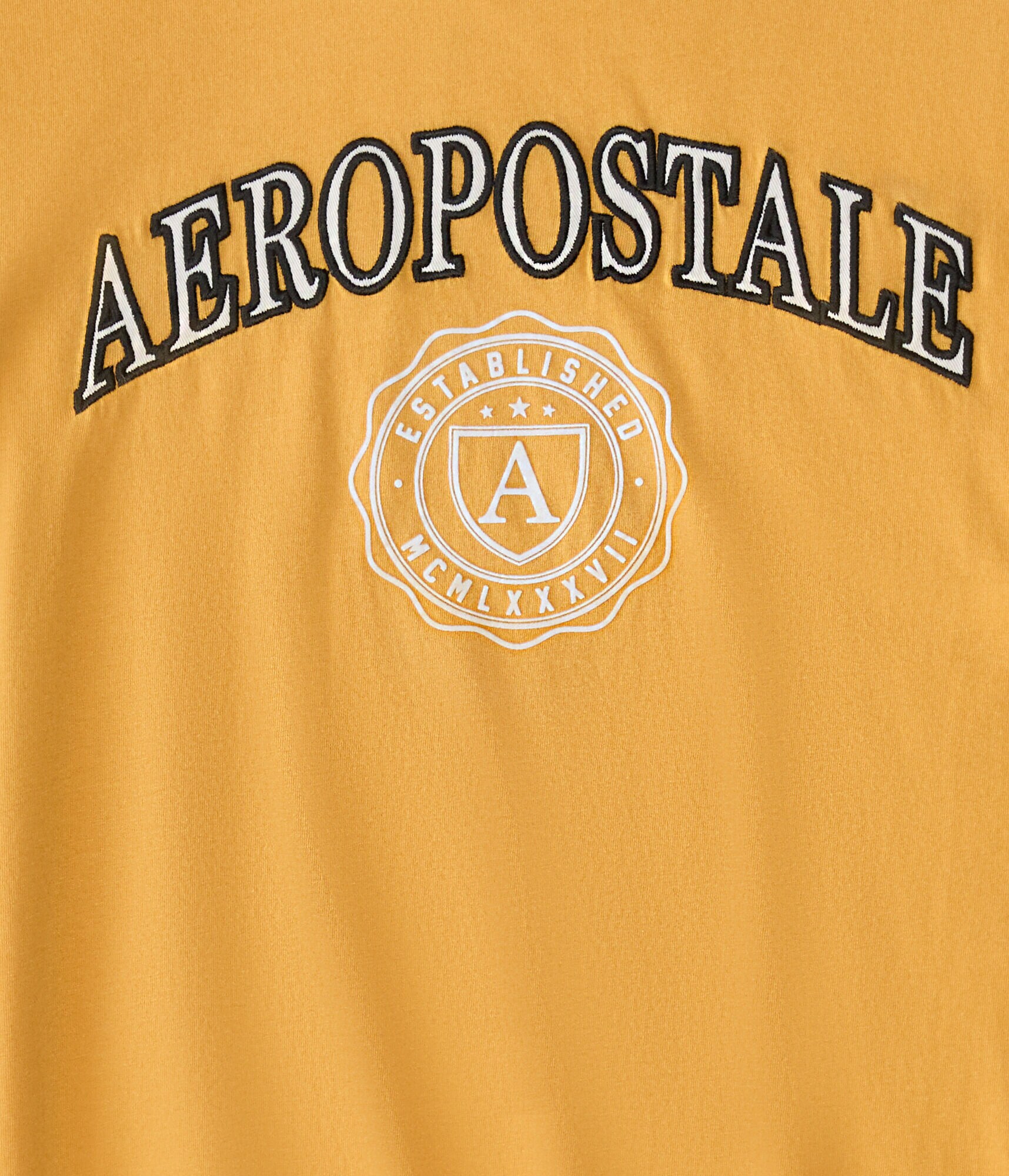 Aeropostale Shield Crest Graphic Tee