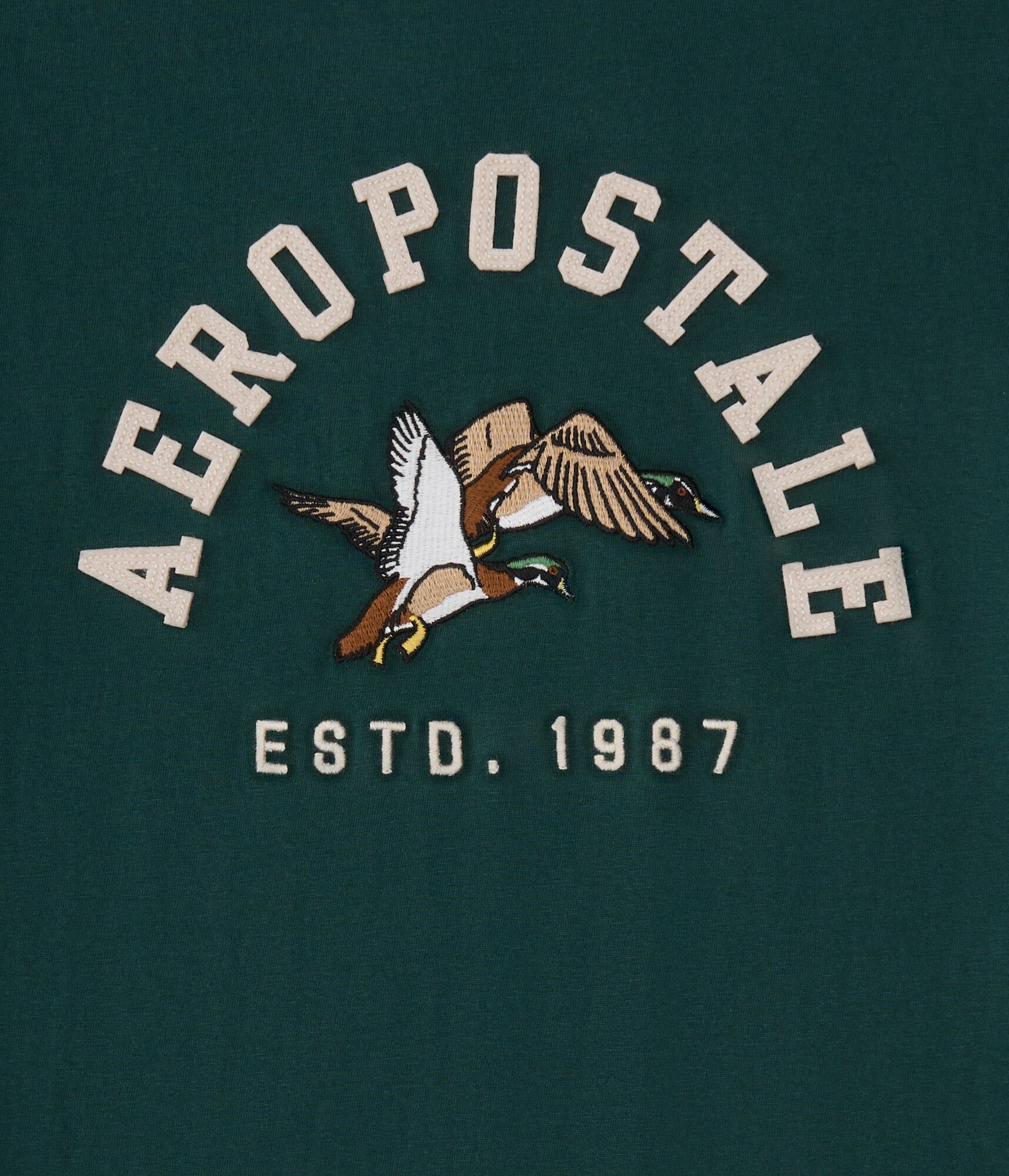 Aeropostale Ducks Appliqu&eacute; Graphic Tee
