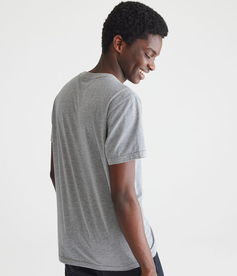 Aero Athletic Crest Appliqué Graphic Tee