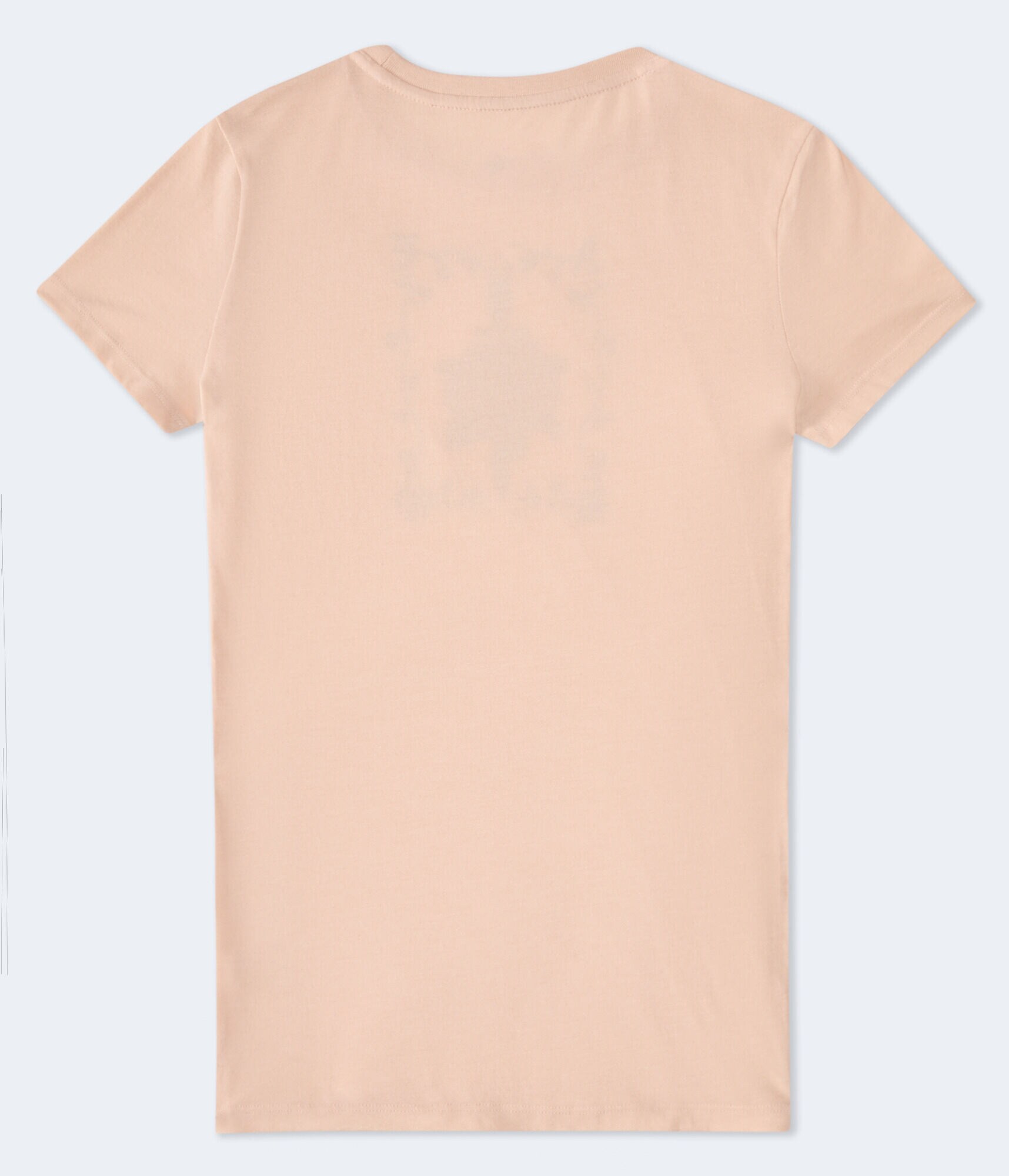 Rose Vine Flocked Graphic Tee