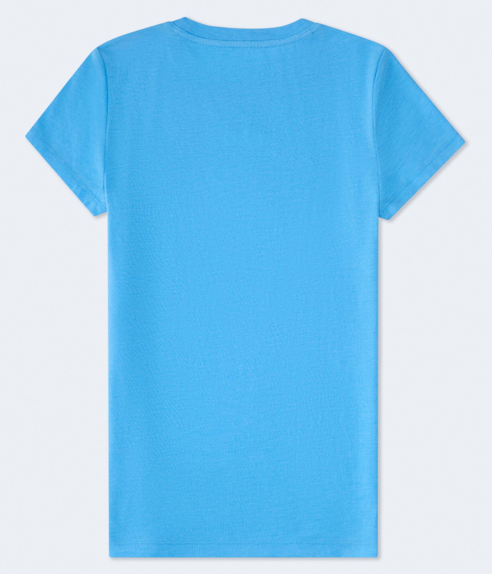 California Palm Hammock Foil Graphic Tee
