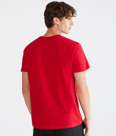 Aeropostale Arch Flocked Graphic Tee