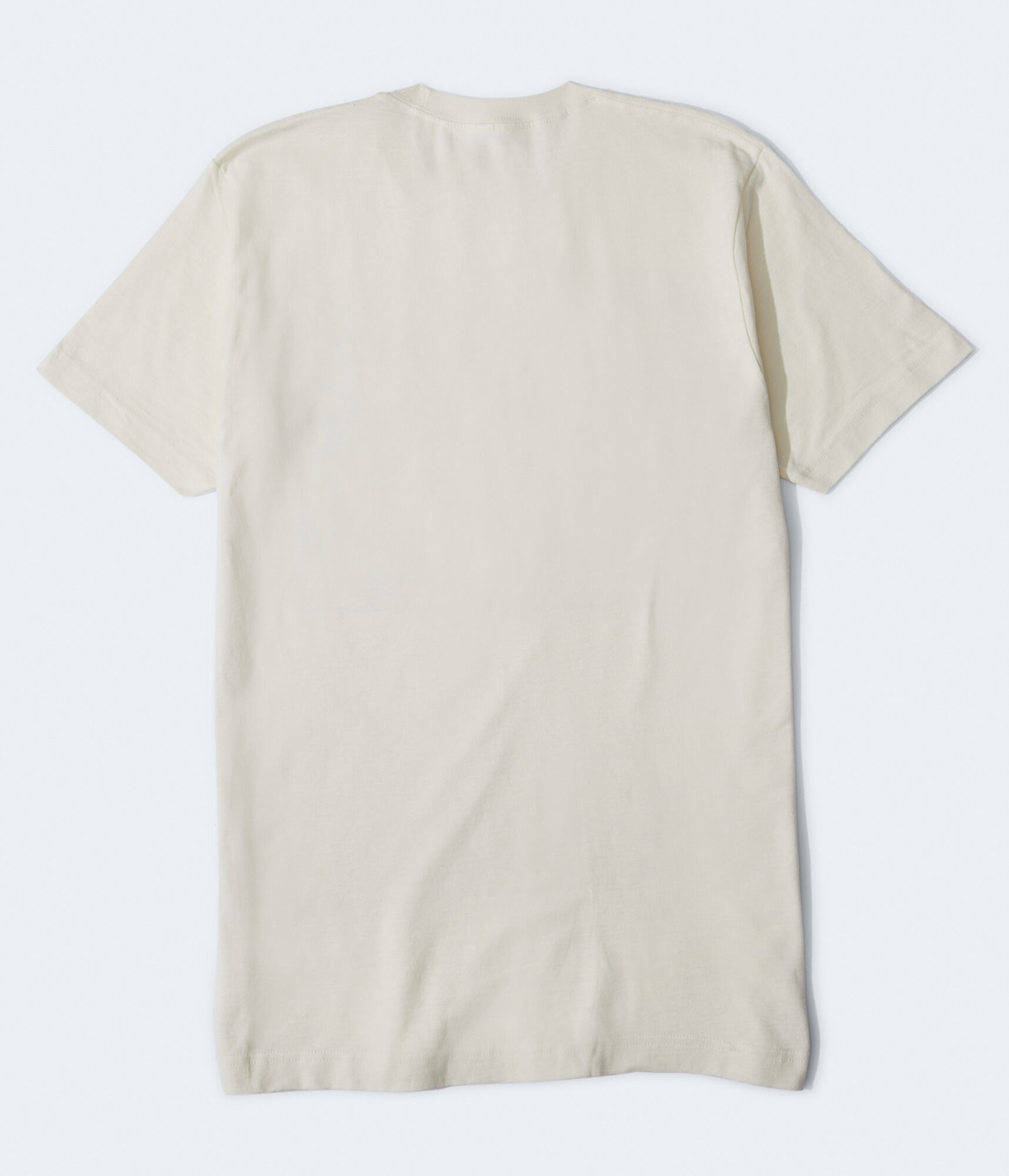 Godzilla Relaxed Graphic Tee