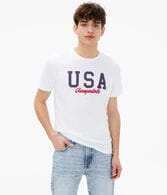 Aeropostale USA Appliqué Graphic Tee