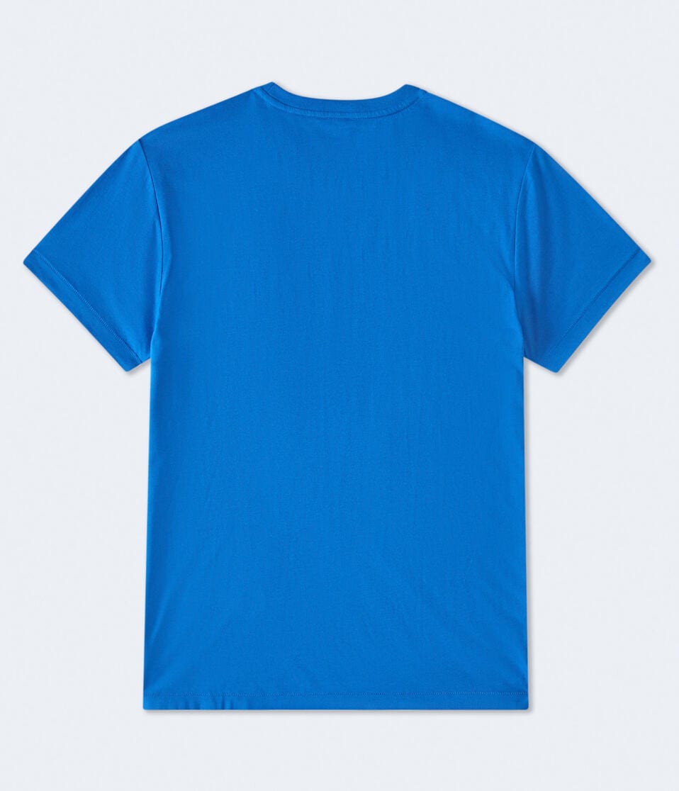 Aeropostale USA Graphic Tee