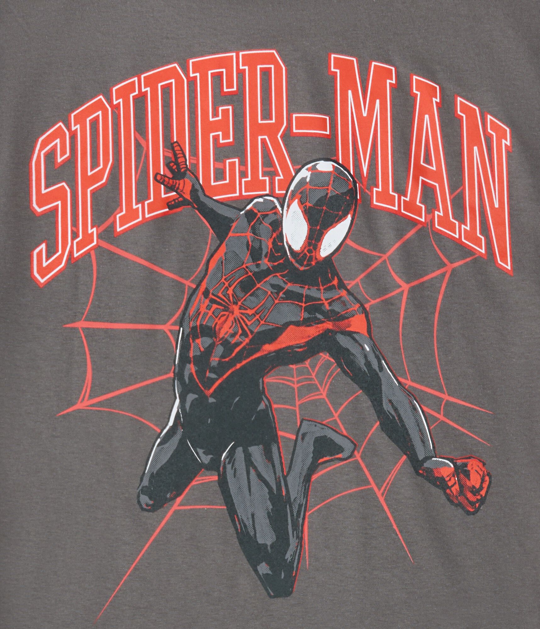 Spider-Man Web Relaxed Graphic Tee