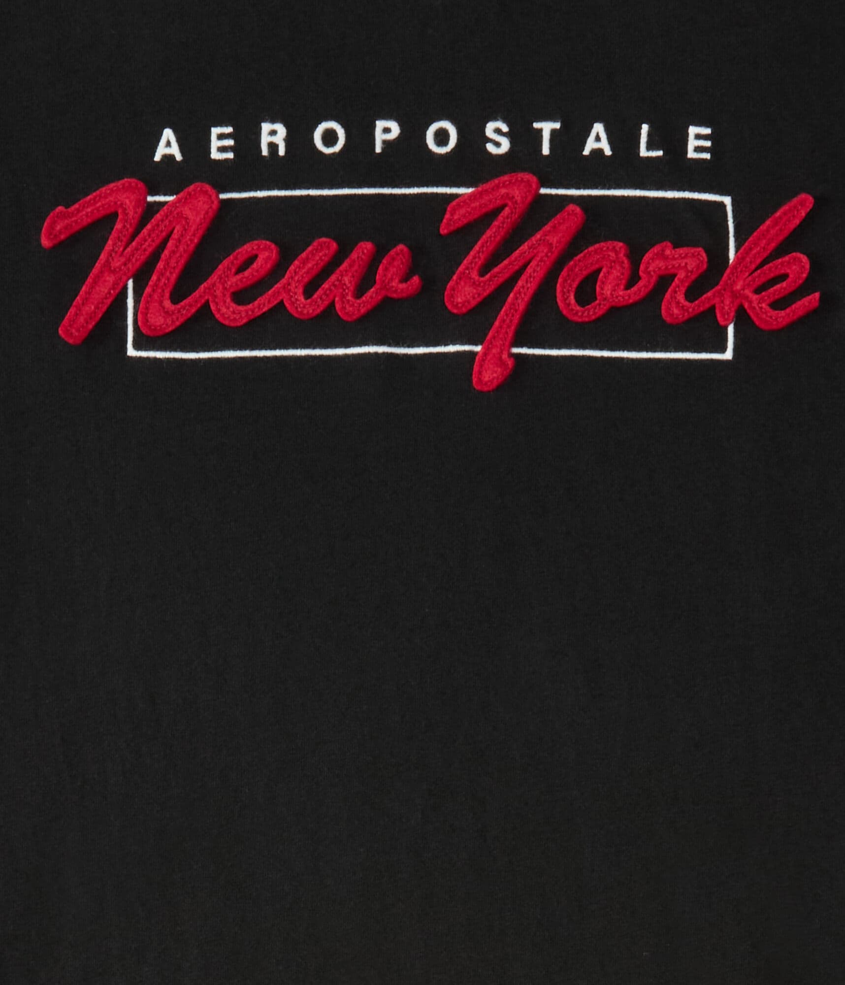 Aeropostale New York Box Logo Appliqué Graphic Tee