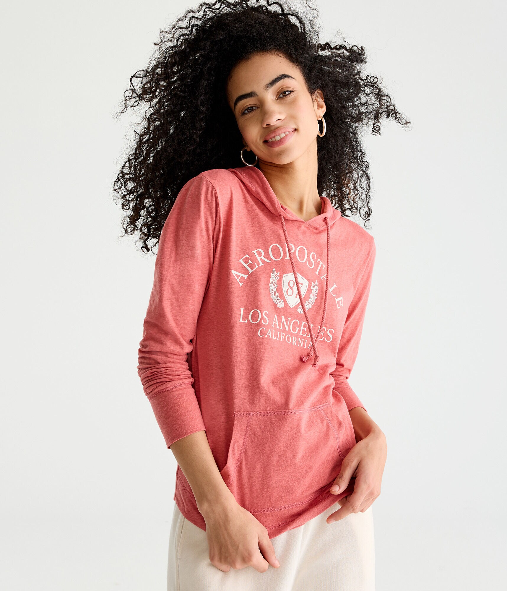 Long Sleeve Aeropostale Crest Hooded Graphic Tee