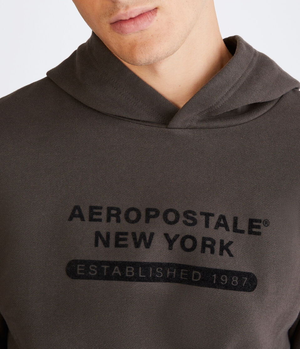 Aeropostale New York Pullover Hoodie