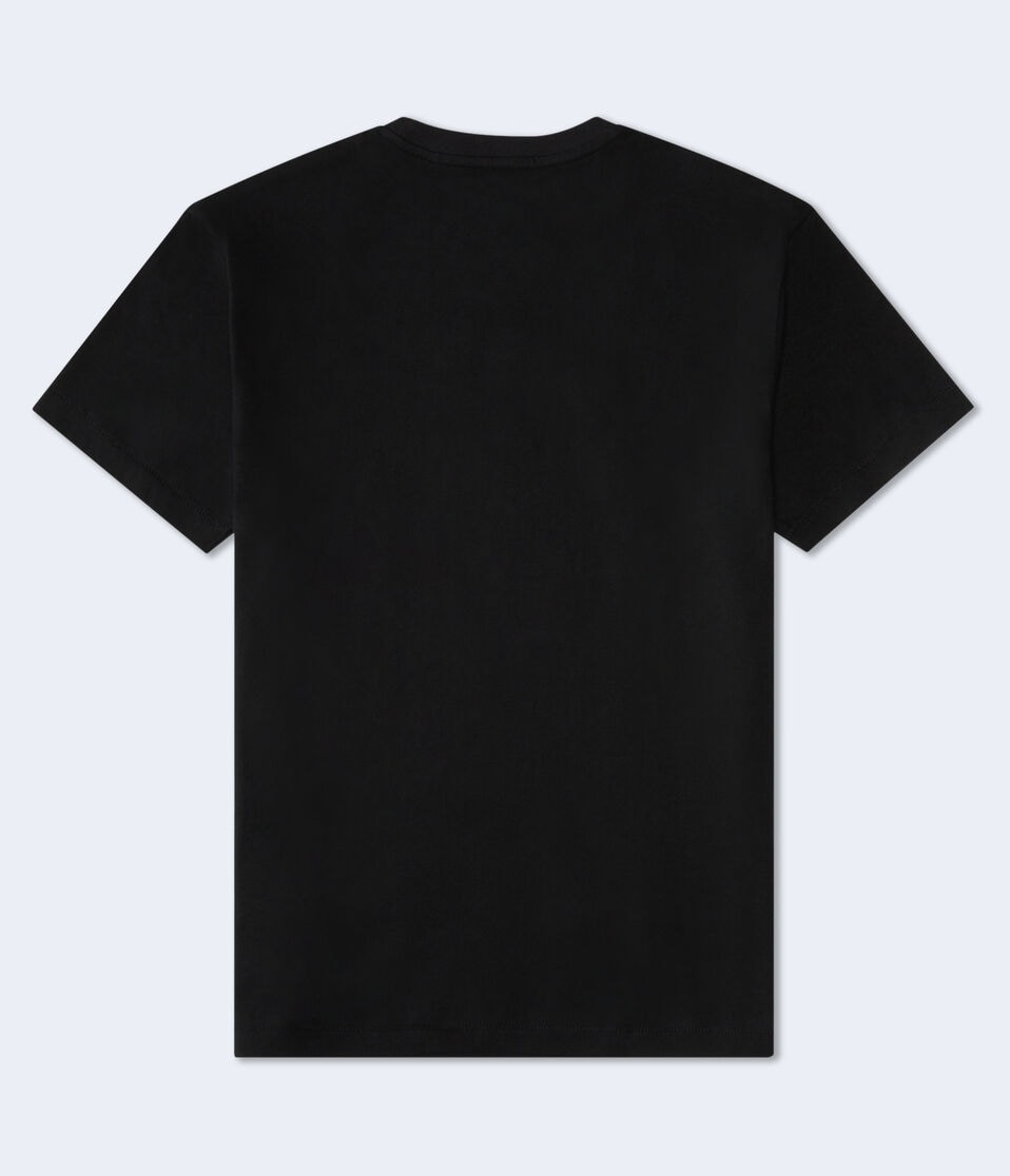 Aeropostale Pride Appliqué Graphic Tee
