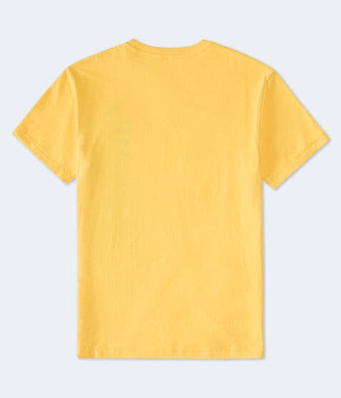 Aeropostale Script Appliqué Graphic Tee