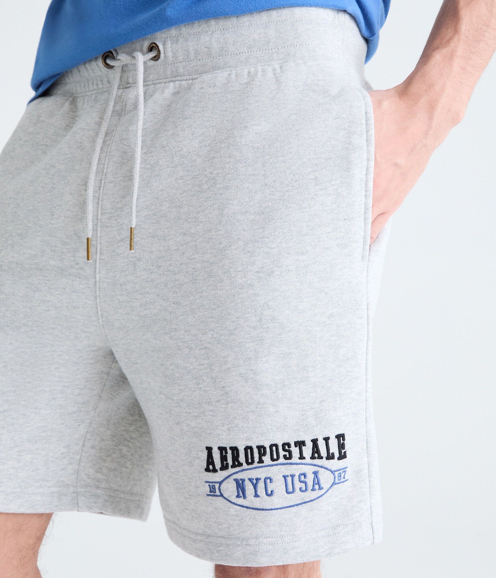 Aeropostale USA Heritage Fleece Shorts