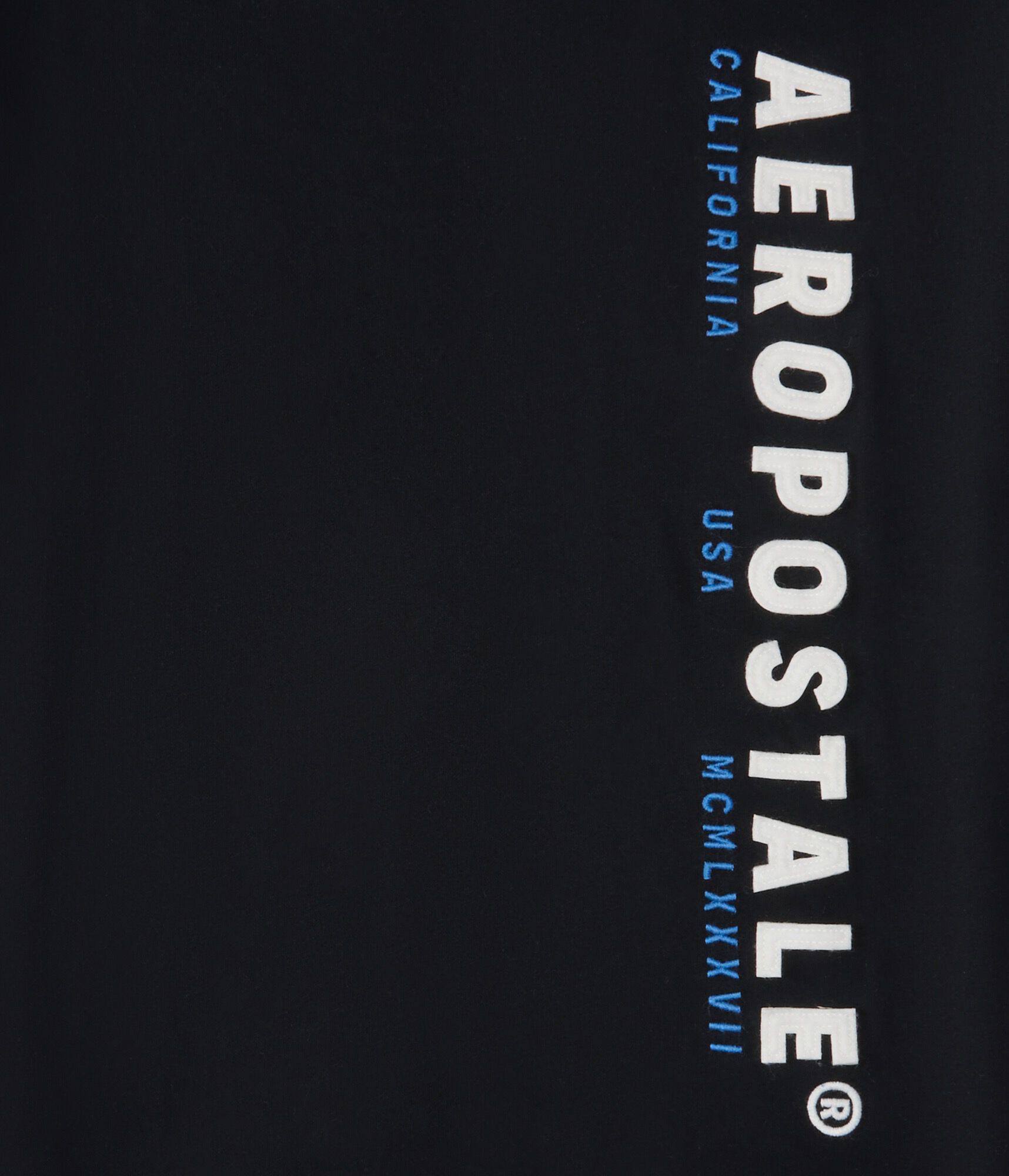 Aeropostale Vertical Logo Appliqu&eacute; Graphic Tee