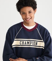 Champion Colorblocked Crew Sweatshirt
