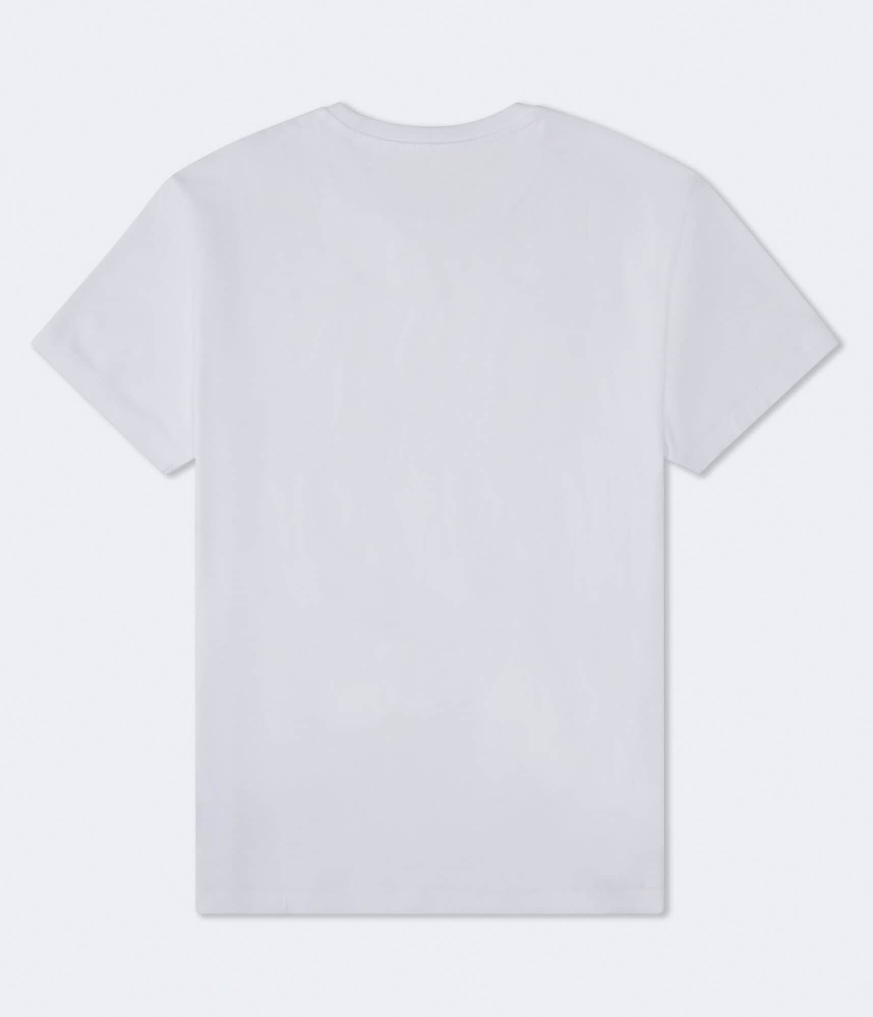 Aero-USA Bear Graphic Tee
