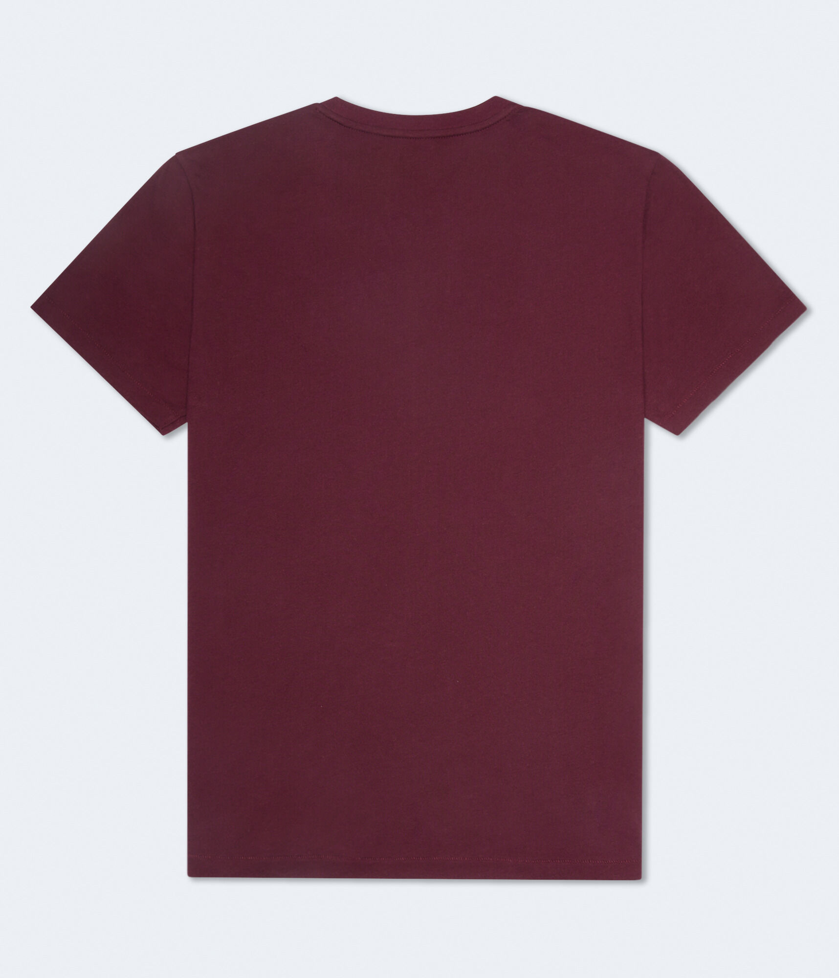 Aeropostale Original Crest Graphic Tee