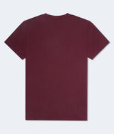 Aeropostale Original Crest Graphic Tee