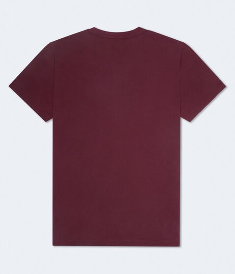 Aeropostale Original Crest Graphic Tee Aeropostale Original Crest Graphic Tee