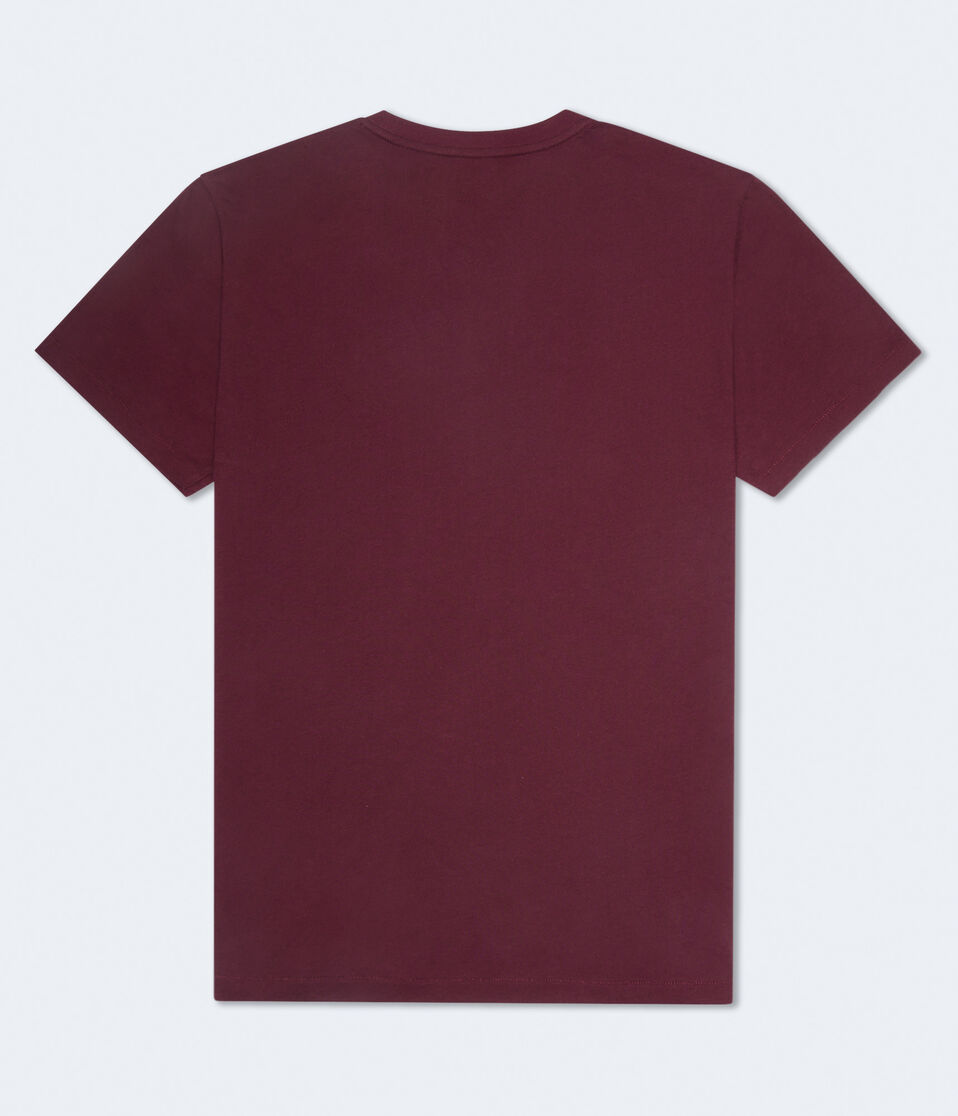 Aeropostale Original Crest Graphic Tee