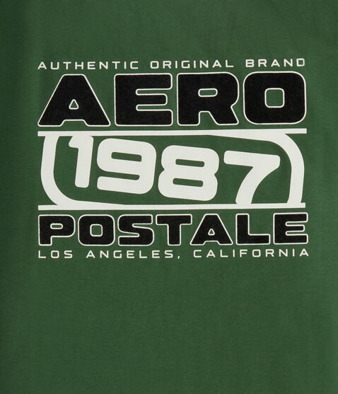 Aero 1987 Box Logo Flocked Graphic Tee Aero 1987 Box Logo Flocked Graphic Tee