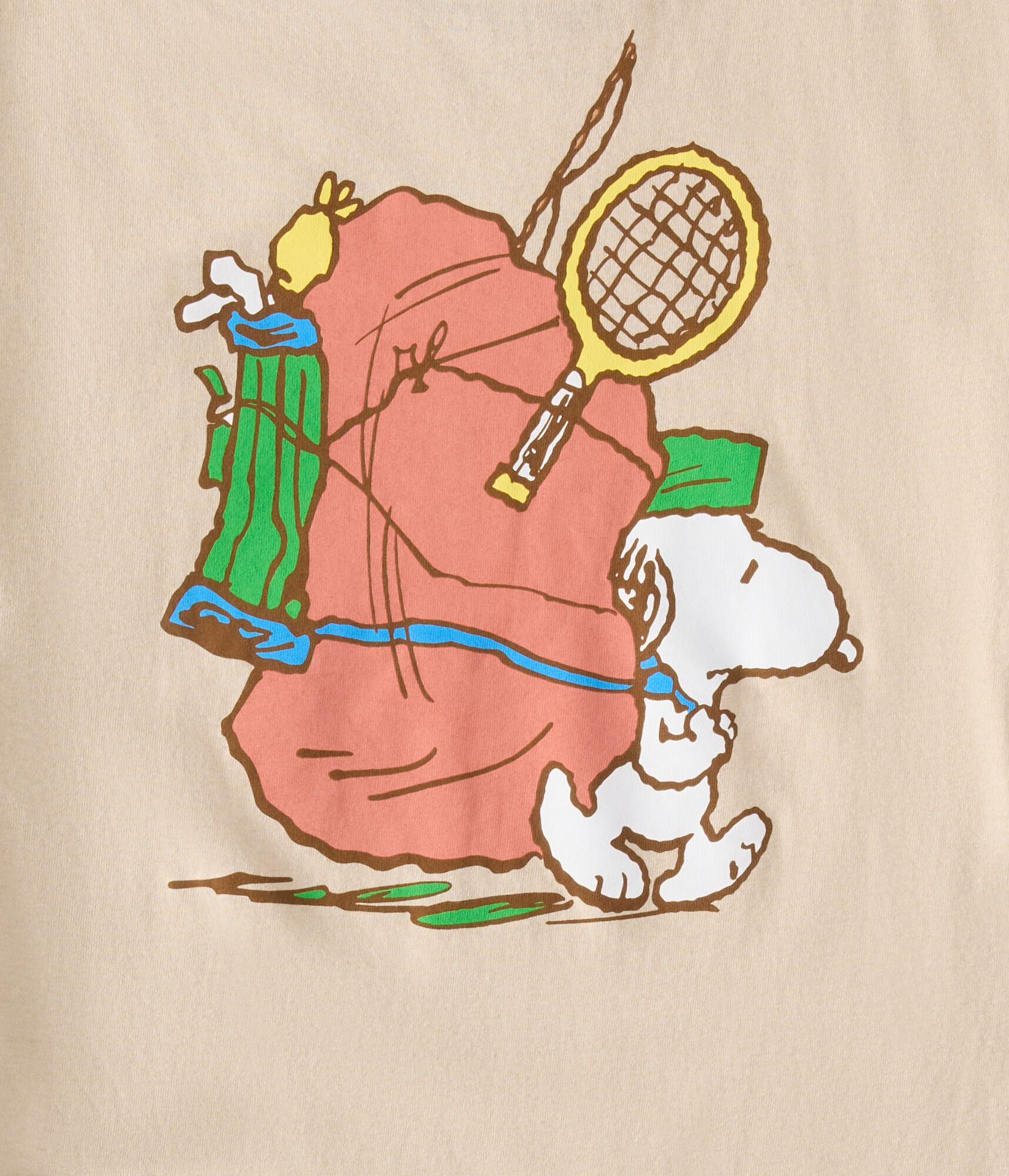 snoopy Snoopy: The Cool Computer Game/Walkthrough — StrategyWiki