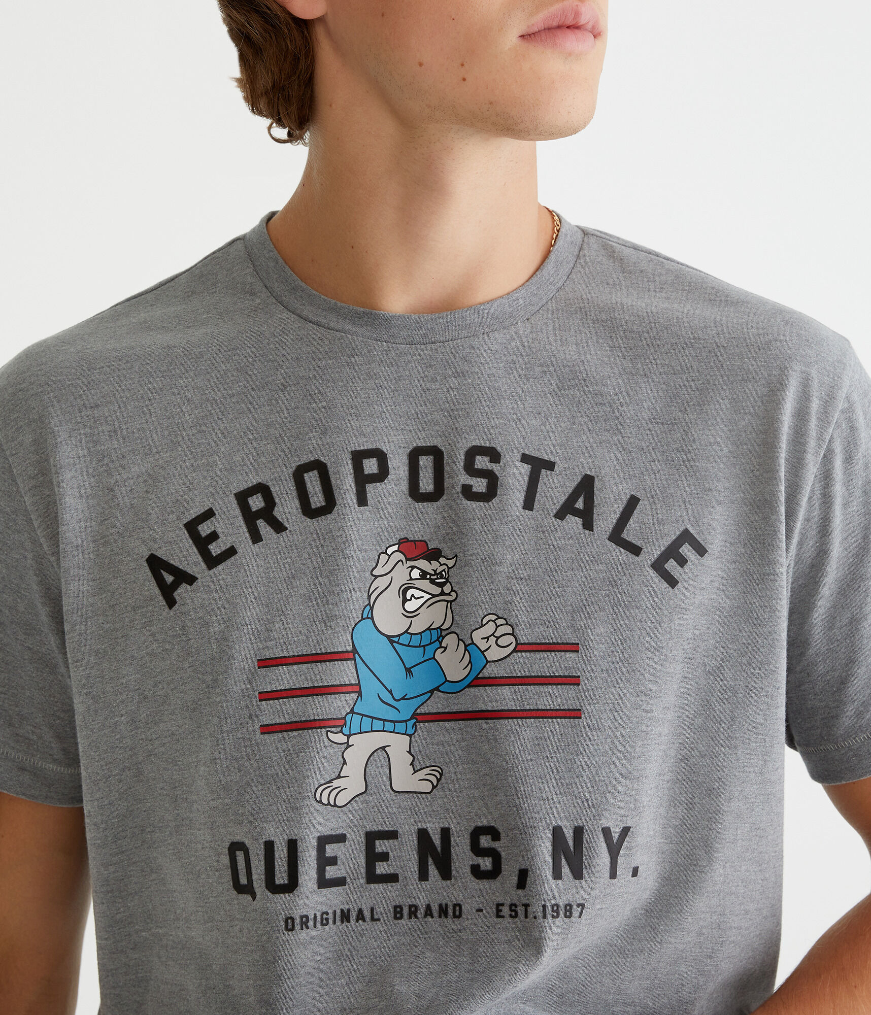 Aeropostale Bulldog Graphic Tee