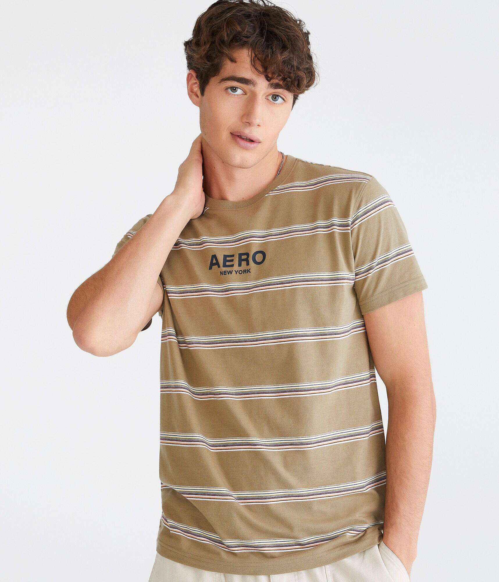 Aero Logo Horizon Stripe Graphic Tee
